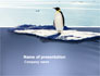 Penguin slide 1
