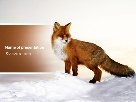 Red Fox Presentation Template, Master Slide