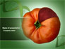 Genetically Modified Foods slide 1