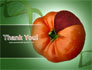 Genetically Modified Foods slide 20