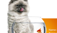 Cat and Fish Presentation Template