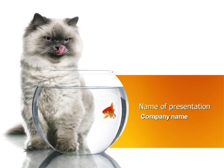 Cat and Fish Presentation Template, Master Slide