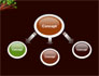 Staphylococcus slide 4