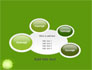 Green Circle Free slide 16