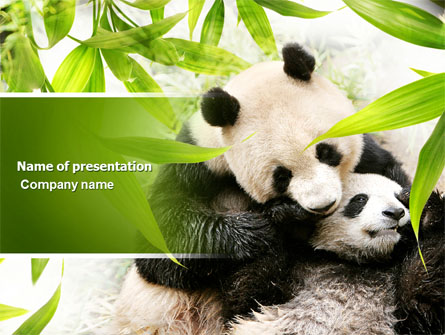 Panda Presentation Template, Master Slide
