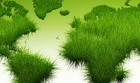 Green Grass of World Presentation Template
