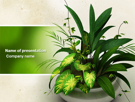 House Plant Presentation Template, Master Slide