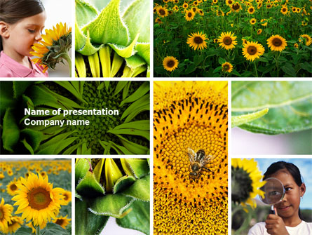 Sunflower Collage Presentation Template, Master Slide
