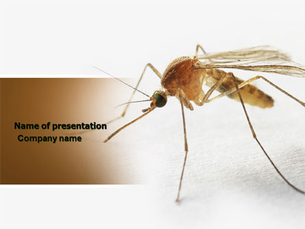 Mosquito Presentation Template, Master Slide