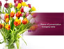 Tulips On A Purple Background slide 1
