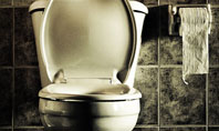 Toilet Presentation Template