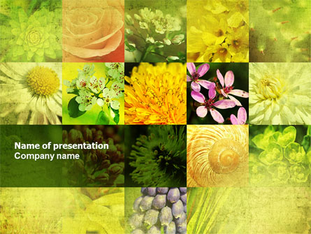 Floristic Presentation Template, Master Slide