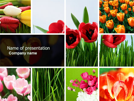 Tulips Presentation Template, Master Slide