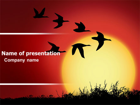 Flock Presentation Template, Master Slide