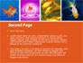 Various Goldfishes slide 2