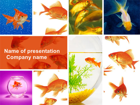 Various Goldfishes Presentation Template, Master Slide