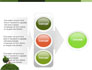 Green Development slide 11