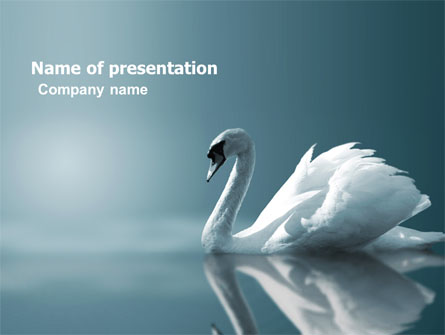 White Swan Presentation Template, Master Slide
