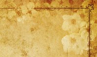 Grunge Flower Texture Presentation Template