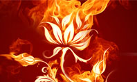 Flaming Flower Presentation Template