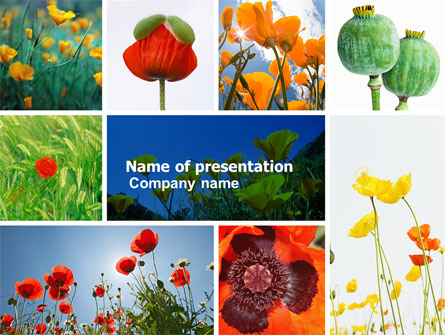 Poppy Presentation Template, Master Slide