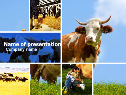 Cow Presentation Template, Master Slide