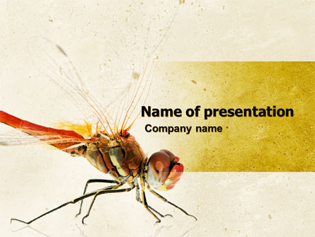 Dragonfly Presentation Template, Master Slide