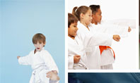 Karate Presentation Template