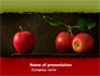Red Apples slide 1