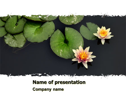 Water Lily Presentation Template, Master Slide