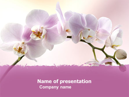 Orchid Presentation Template, Master Slide
