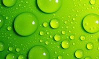 Green Water Drops Presentation Template