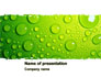 Green Water Drops slide 1