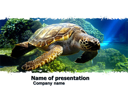 Sea Turtle Presentation Template, Master Slide