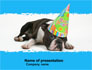Happy Birthday Puppy slide 1