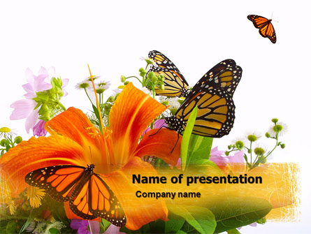 Summer Field Presentation Template, Master Slide