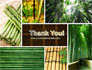 Bamboo Trees slide 20