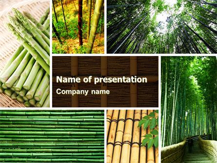 Bamboo Trees Presentation Template, Master Slide