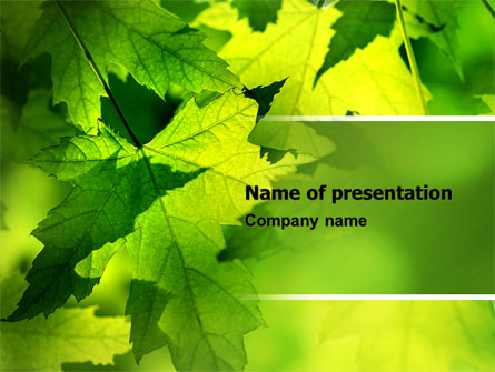 Maple Presentation Template, Master Slide
