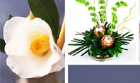 Ikebana Free Presentation Template