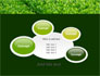 Green Grass slide 16