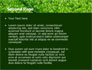 Green Grass slide 2