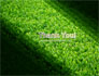 Green Grass slide 20