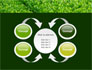Green Grass slide 6