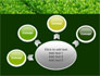 Green Grass slide 7
