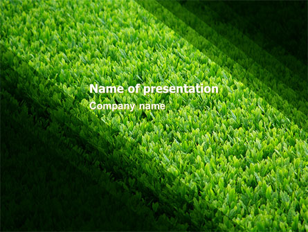 Green Grass Presentation Template, Master Slide