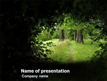 Pathway In The Forest Presentation Template, Master Slide