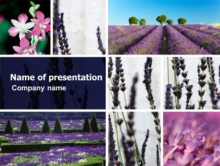 Lavender Presentation Template, Master Slide