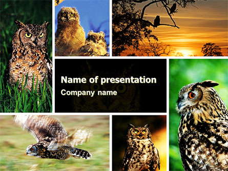 Owl Collage Presentation Template, Master Slide
