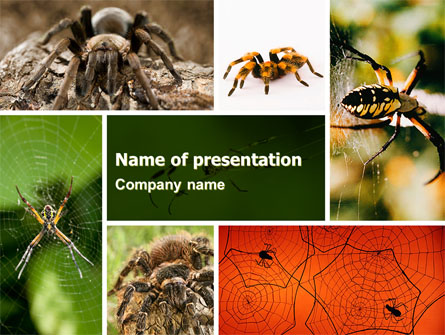 Spider Collage Free Presentation Template, Master Slide